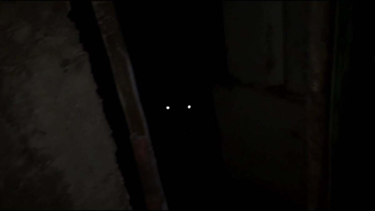 фото из открытого доступного источника сети интернет