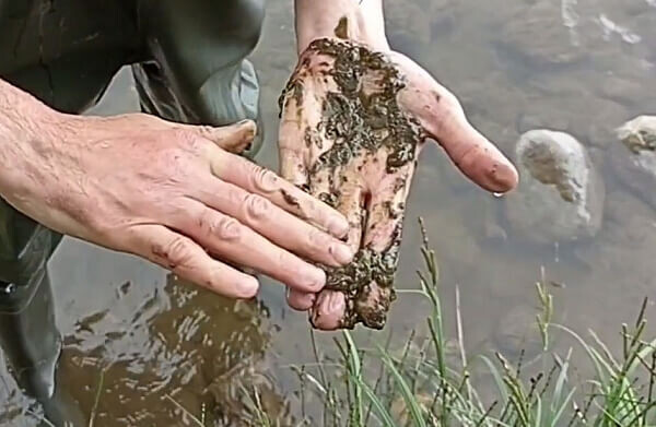    Фото: скриншот с видео ОНФ