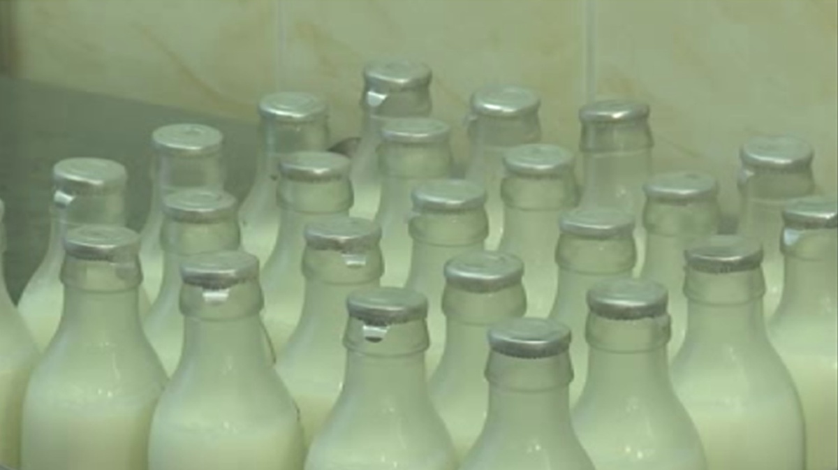    Мамы Курска забили тревогу