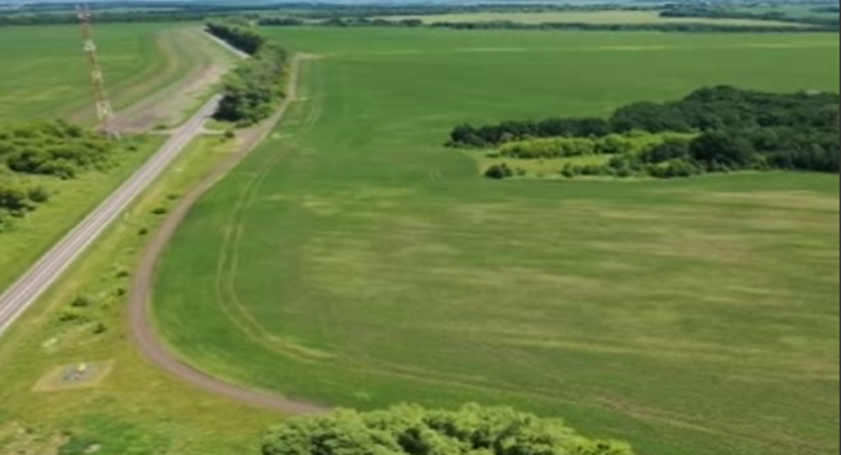    В Курской области официально объявили режим ЧС в сфере сельского хозяйства