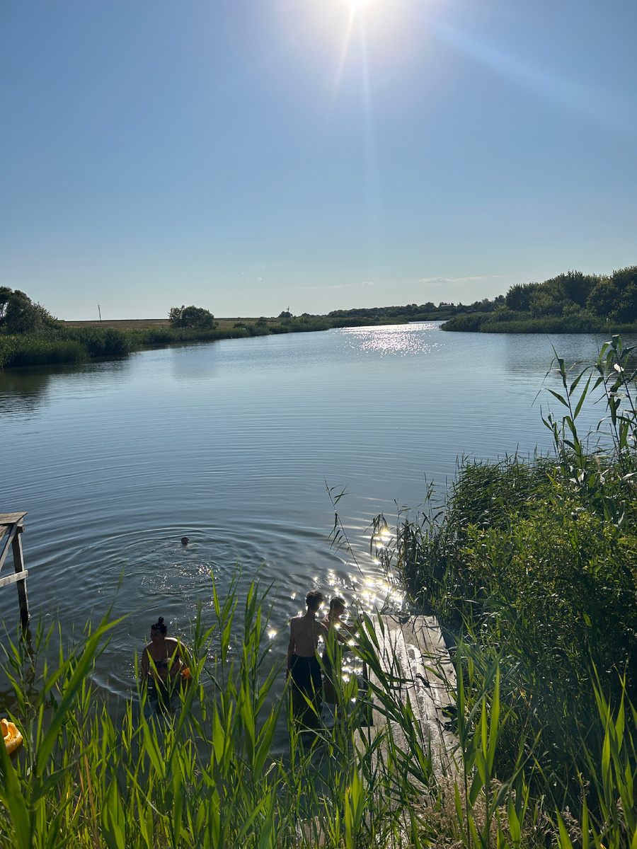 Пруд у нас на даче