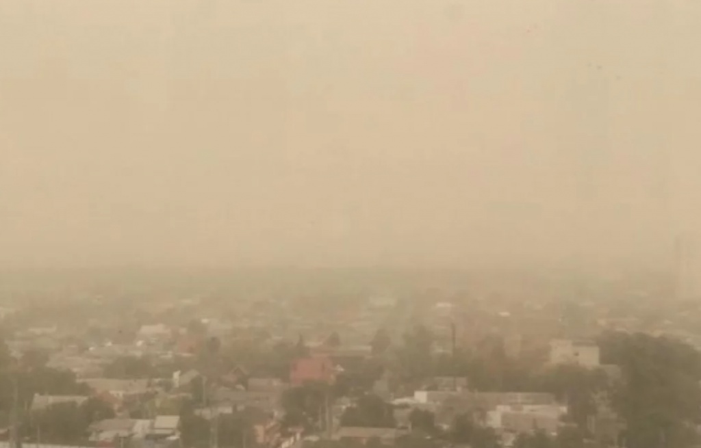    фото: Мариам Папахчян / АиФ-Ростов Редактор