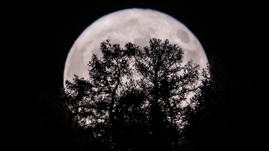    Фото: © РИА Новости/Александр Кряжев