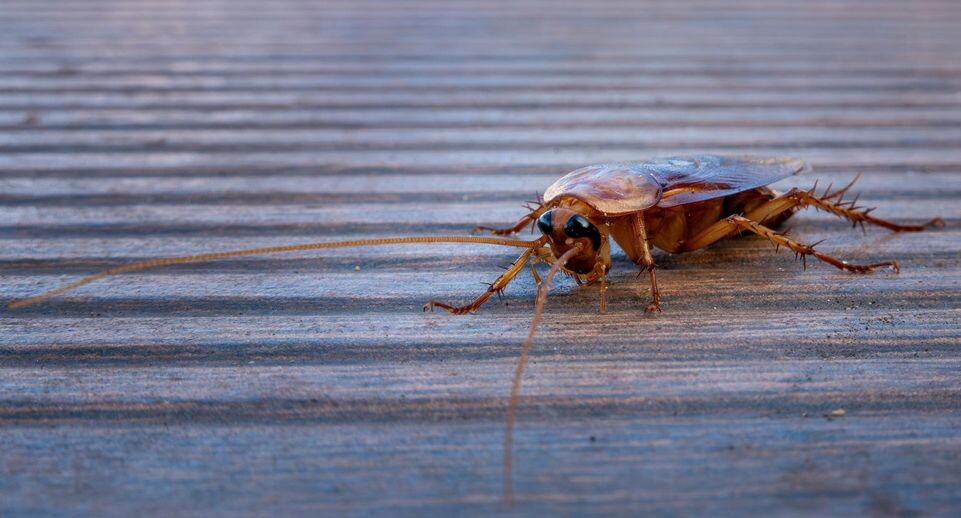    Soeren Stache/dpa / www.globallookpress.com