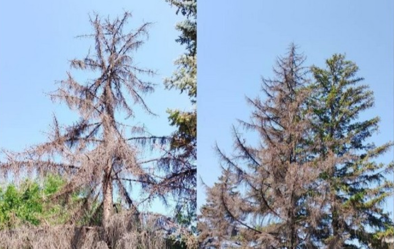    Фото администрации Ленинского района