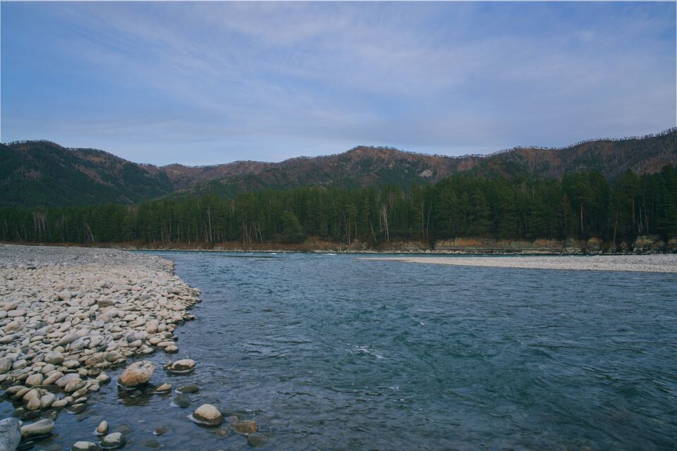    Река Катунь. Источник: Андрей Сороко / "Толк"