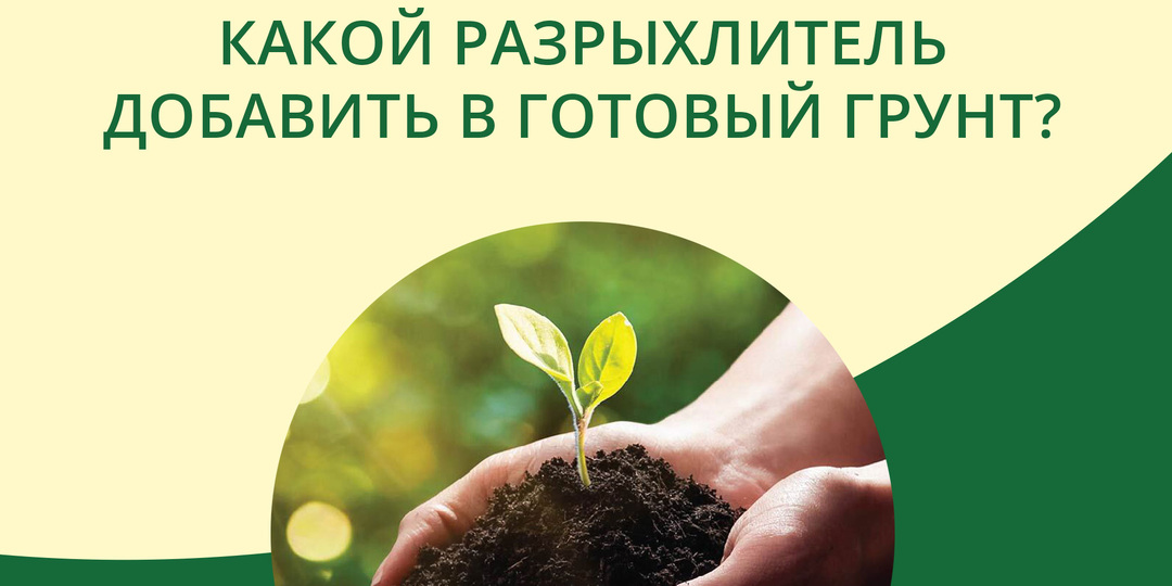Перлит, вермикулит, керамзит, песок: какой разрыхлитель добавить в готовый грунт и когда это действительно нужно