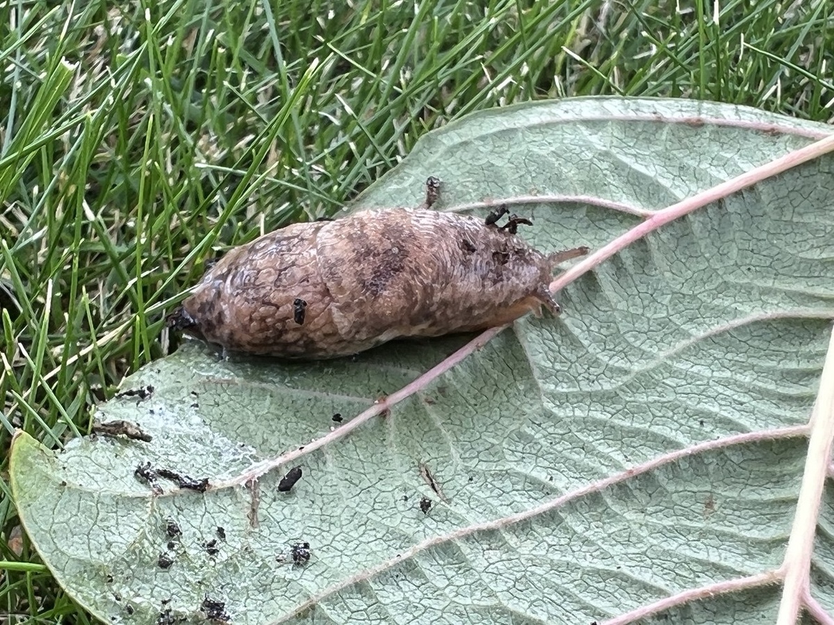 Фото автора канала Дом с кипарисами