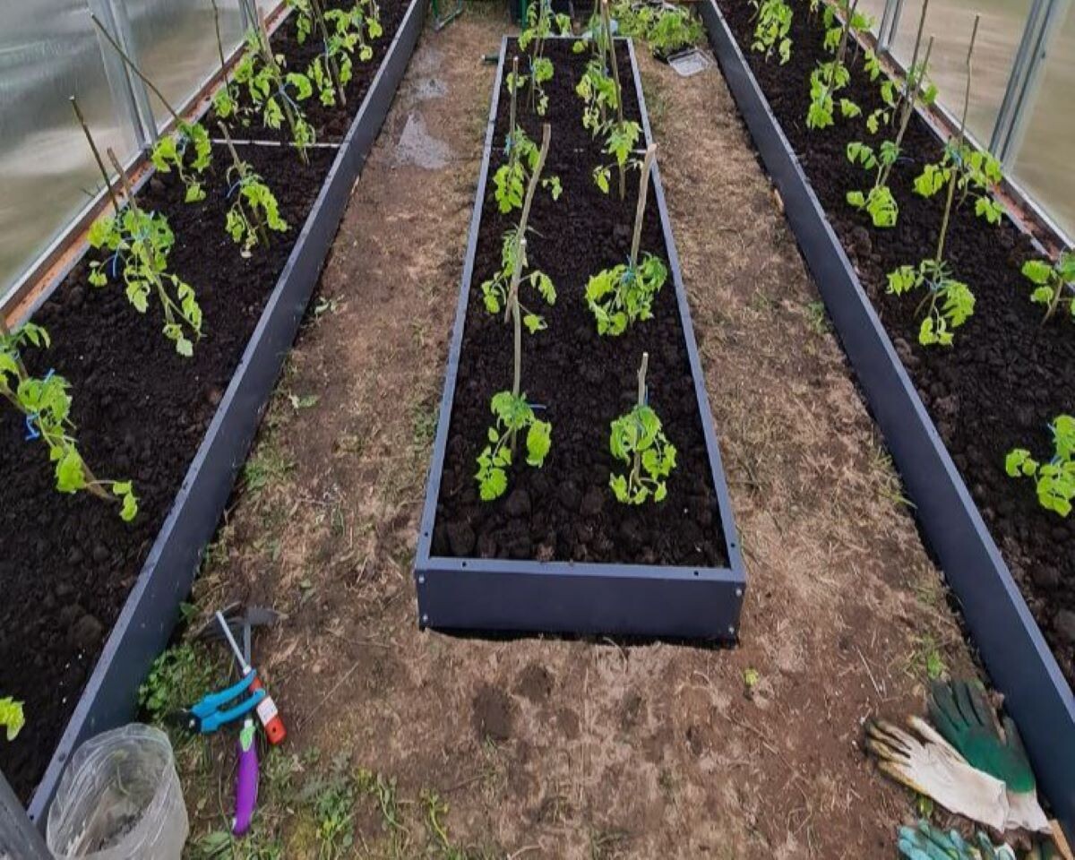 Фото автора канала Дом с кипарисами