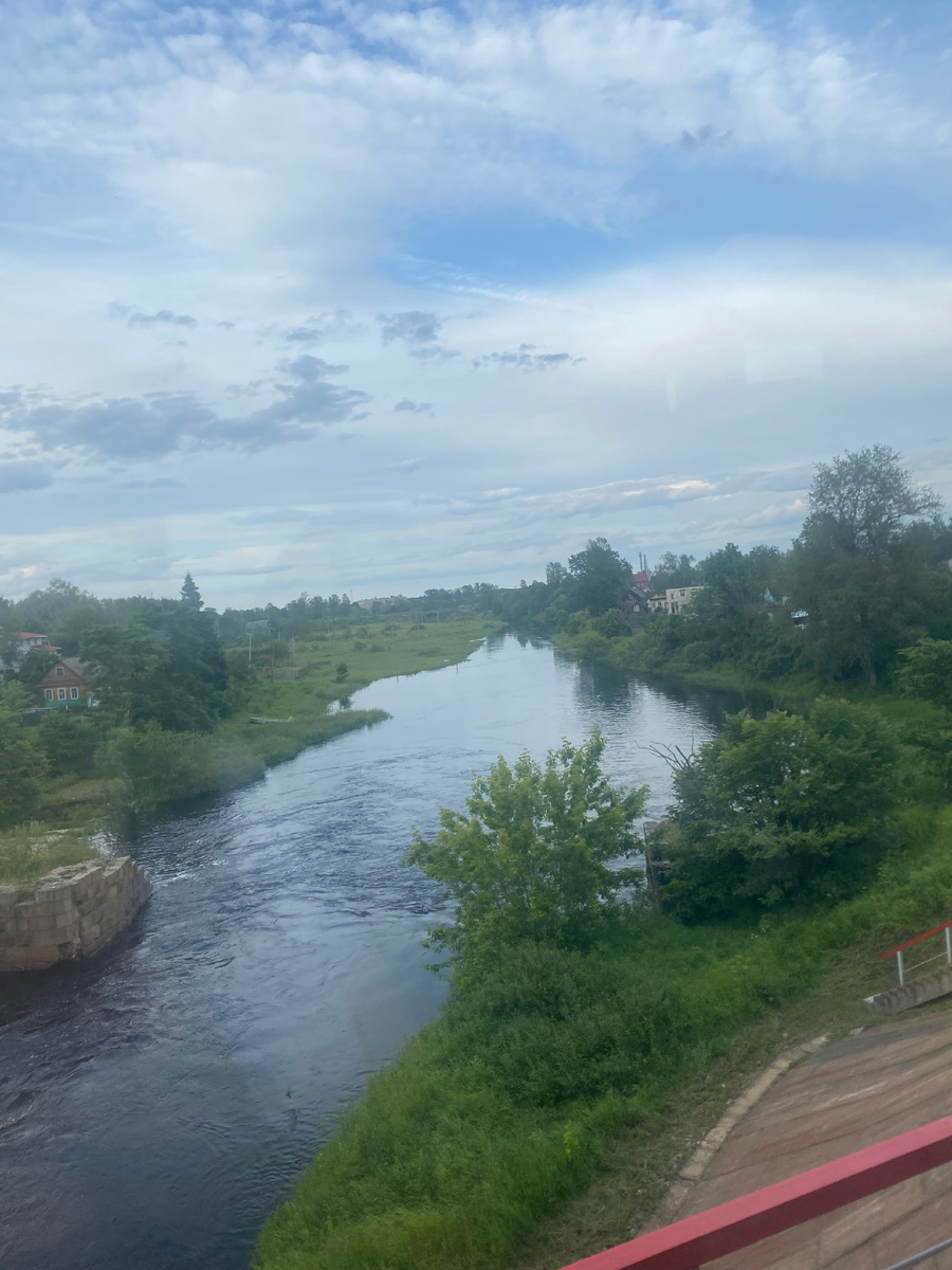 Сижу у окна и любуюсь пейзажами.