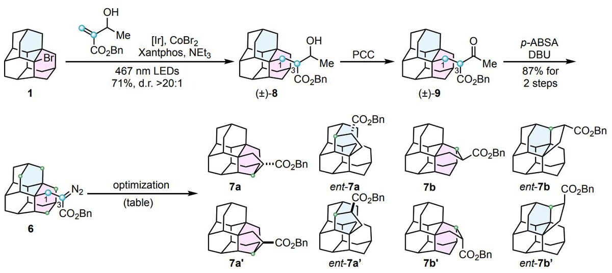   Xiao-Yu Li & Christof Sparr / ChemRxiv, 2025