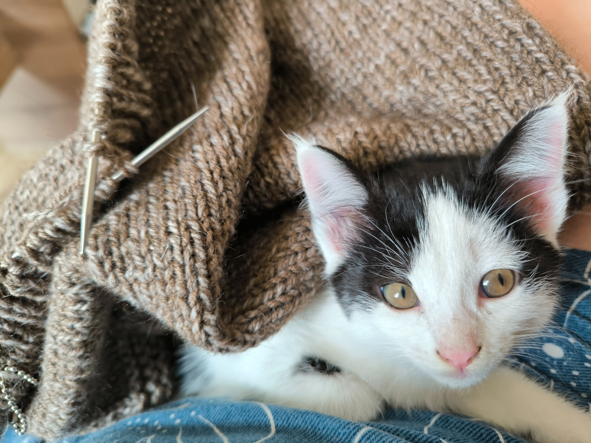 С помощницей 