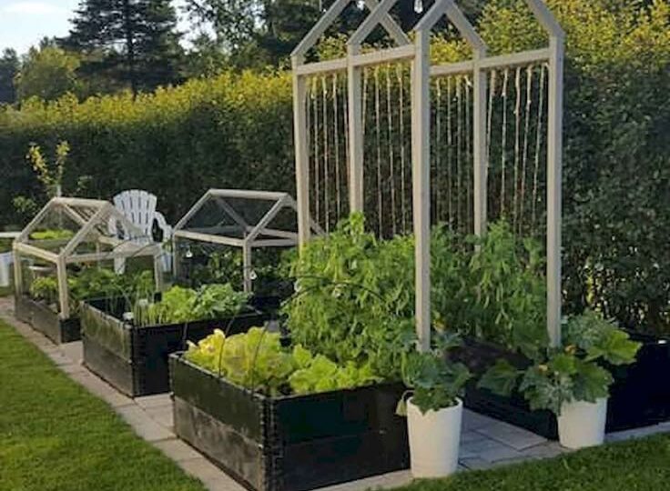 Пять правил размещения огорода на участке.