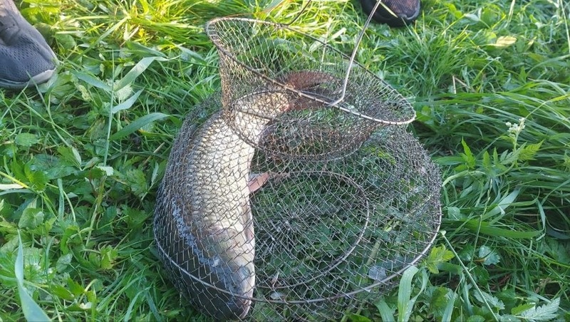      Фото: Пресс-служба Ессентуков