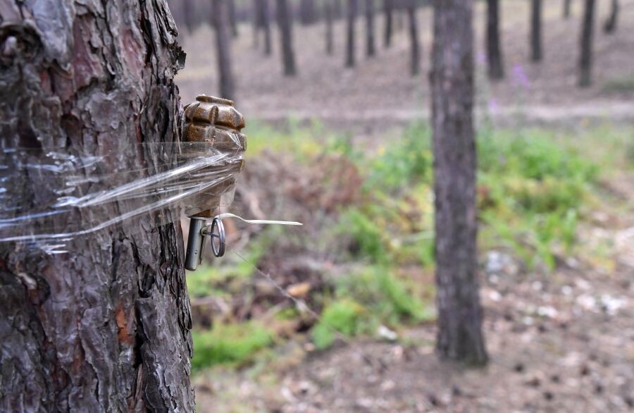     / Источник: © Виктор Антонюк/РИА Новости