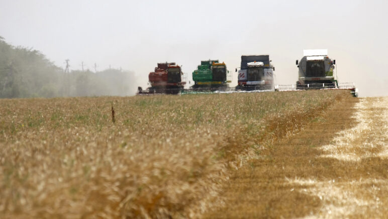    Фото: Иван Журавлев / Югополис