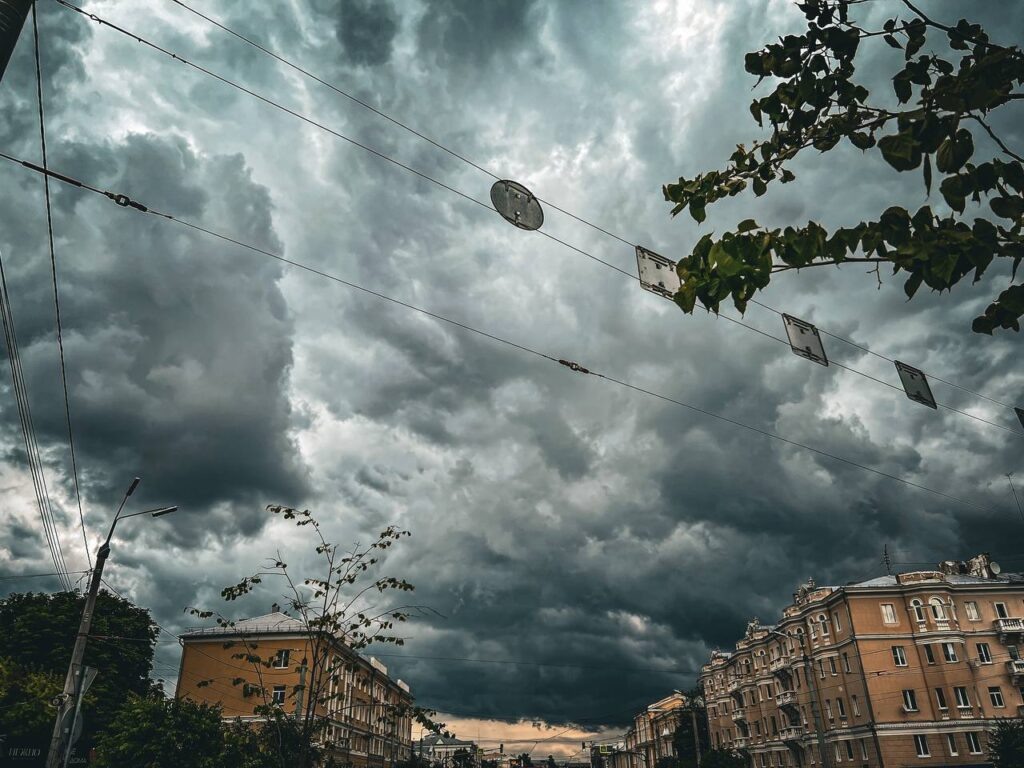    фото: Марина Тесла Елена Воронцова