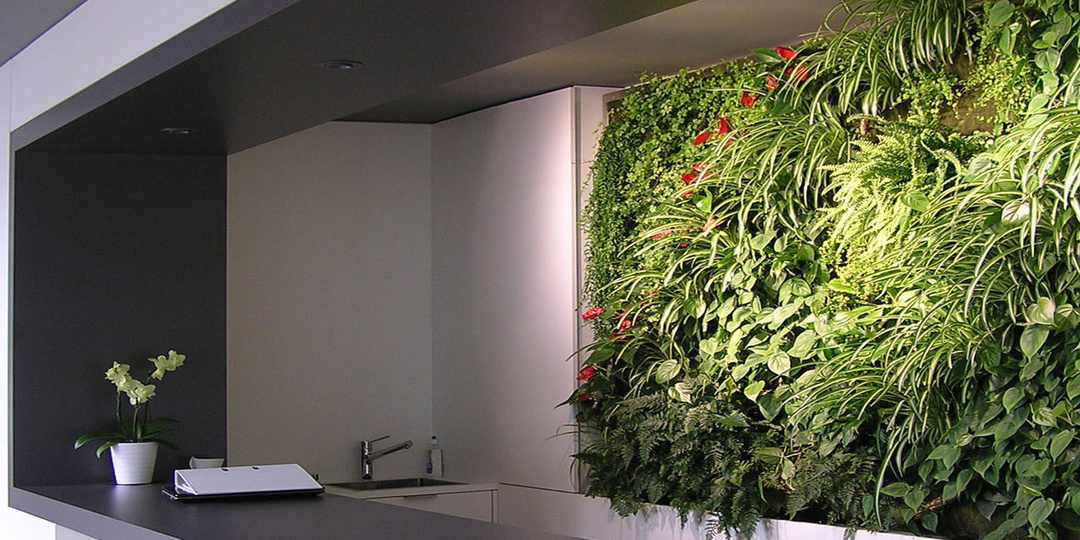 Растения в интерьере квартиры или дома