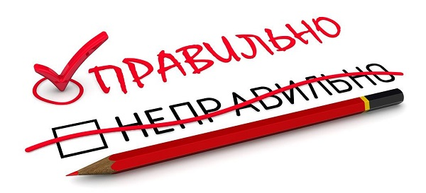 Картинка из интернетов