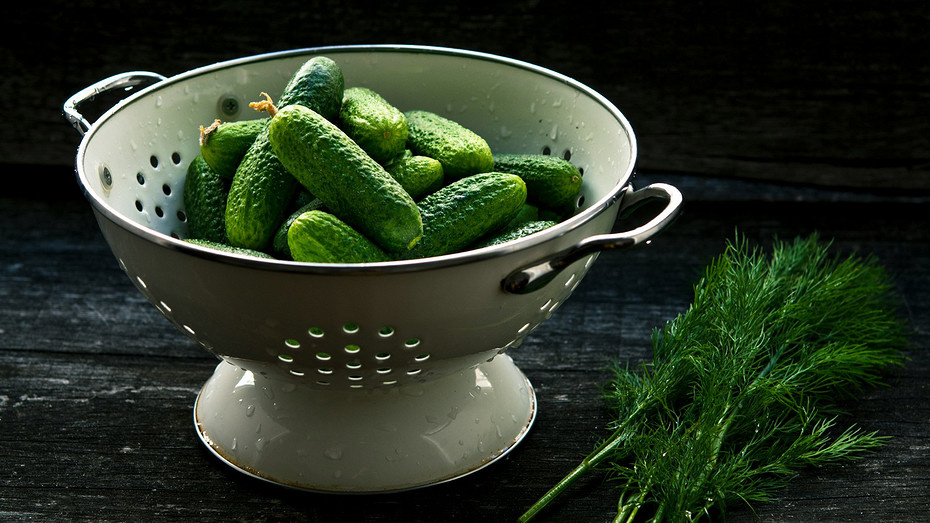 Фото здесь и далее Unsplash