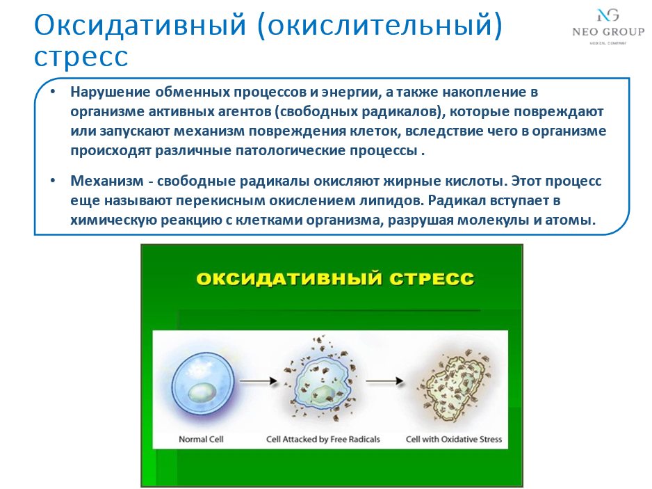 Слайд из моей презентации