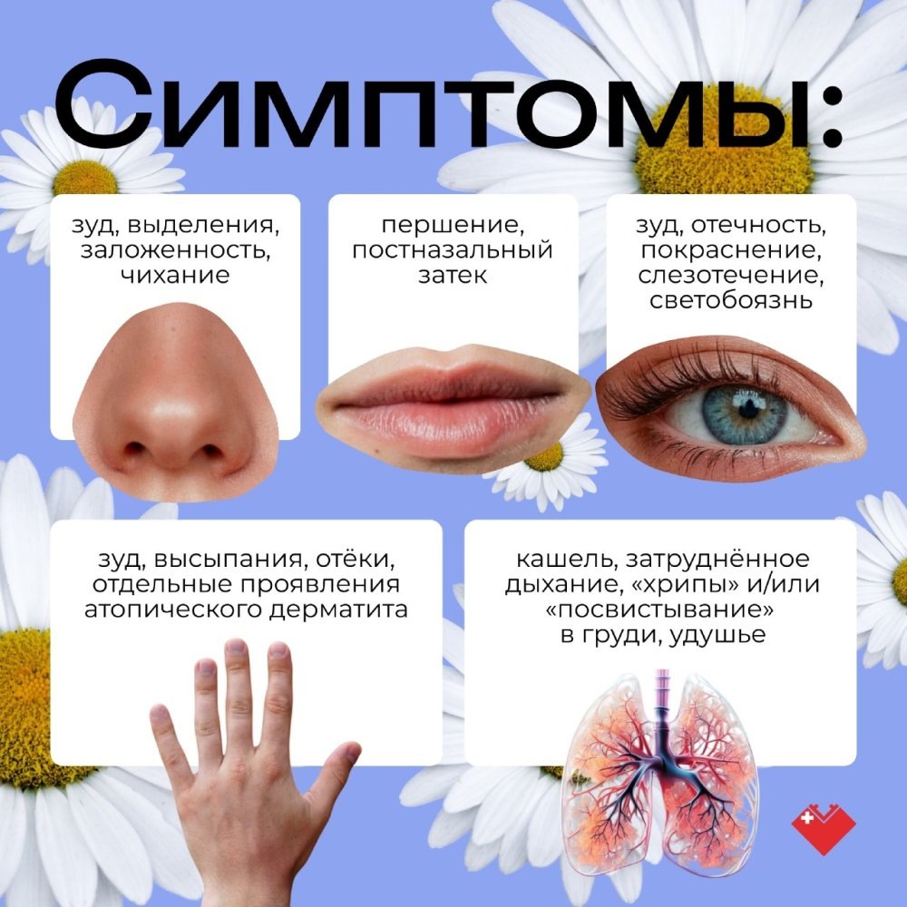    Если вас раздражает цветение