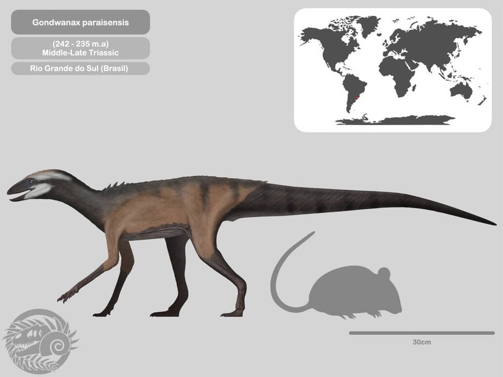 Гондванакс: иллюстрация+ информация+место жительства.