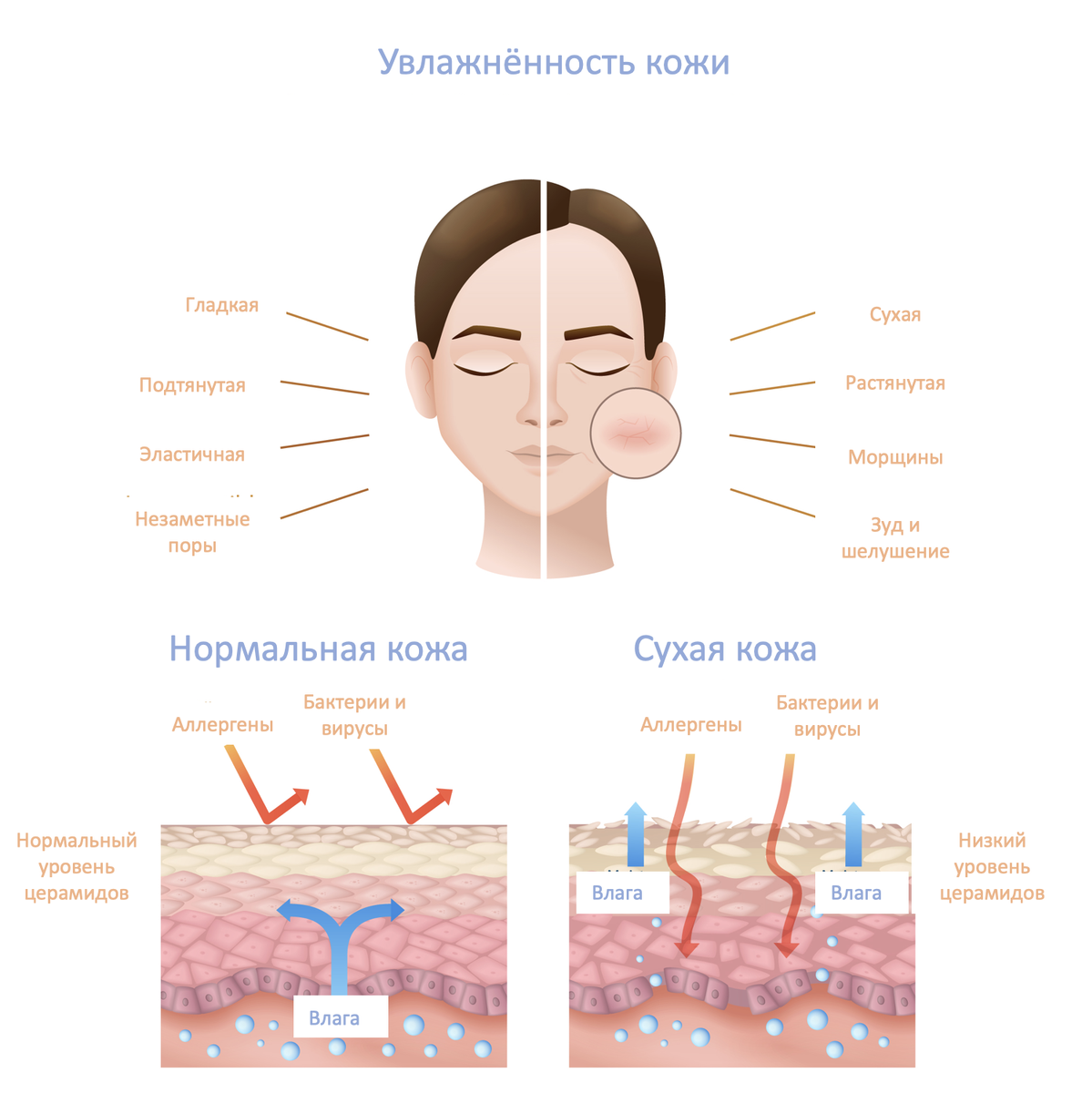 Признаки обезвоженной кожи 
