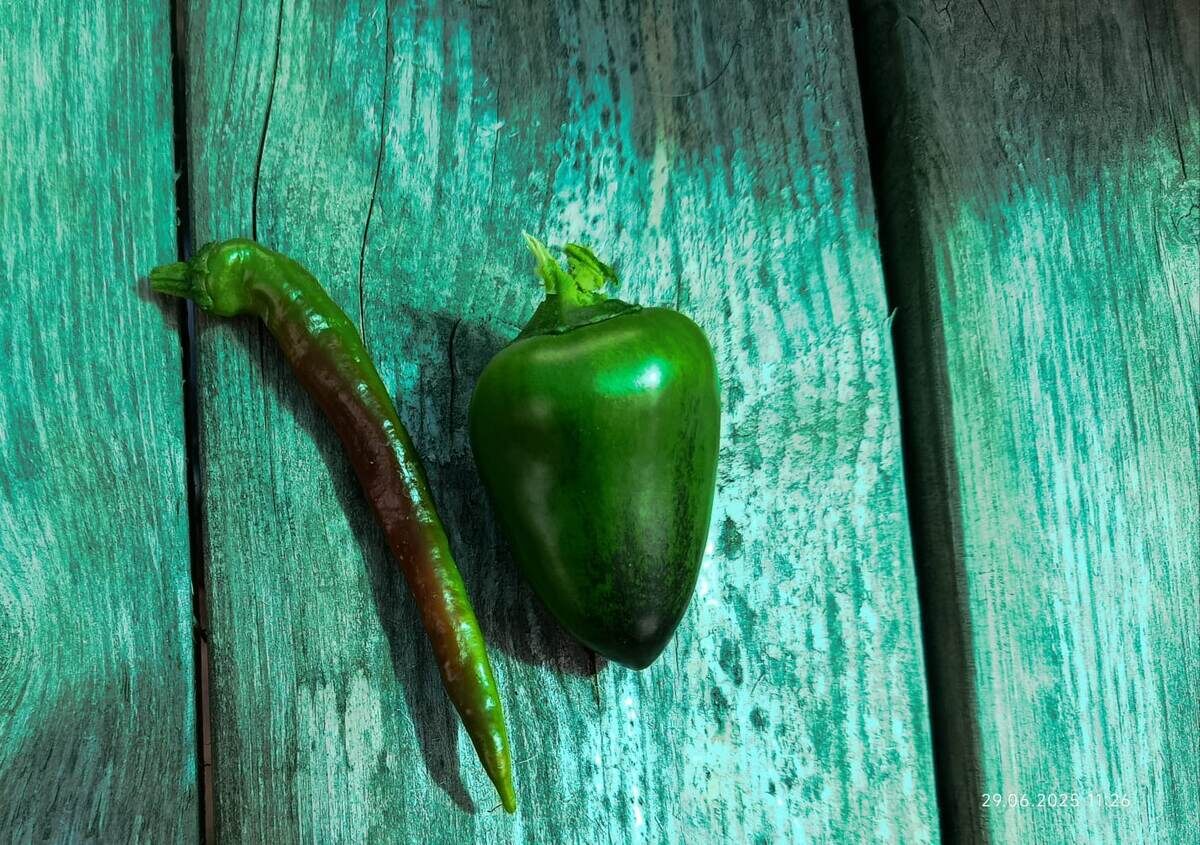 Дата фото 29 июня