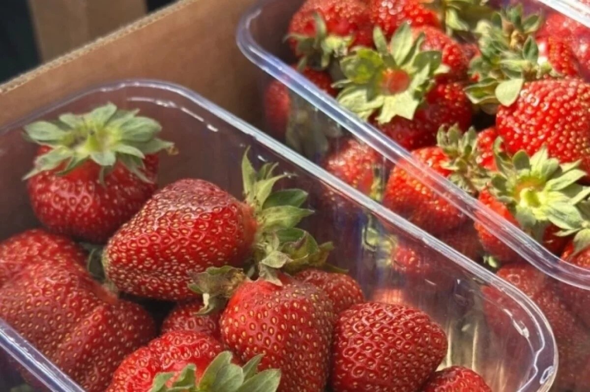    32 тонны клубники хотят собрать на Сахалине в сезон 2025 года