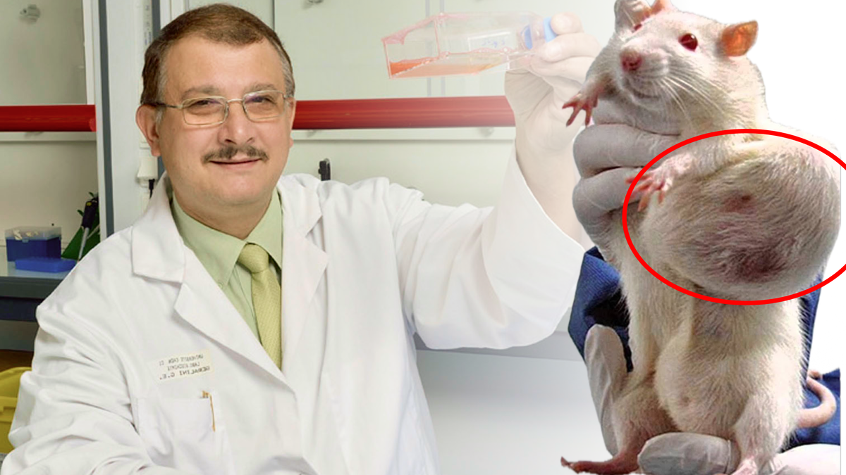 Паника была громче аргументов. А картинки, как известно, сильнее таблиц.