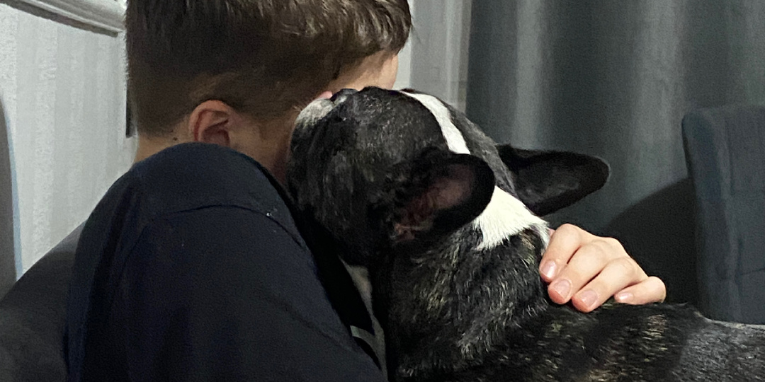 Может ли французский бульдог защитить своего хозяина?