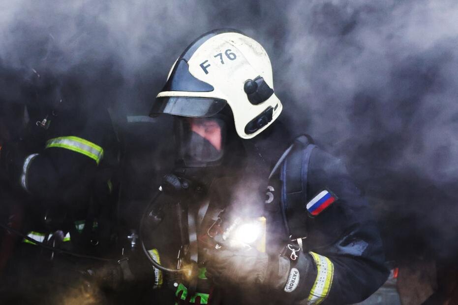    Алексей Белкин/NEWS.ru