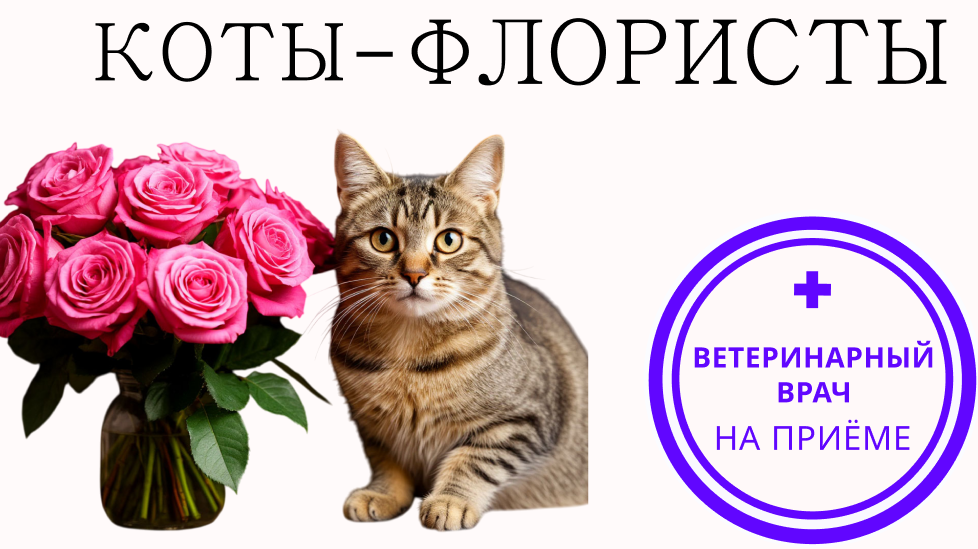 Какие букеты опасны кошкам