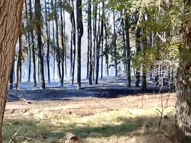    Фото: телеграм-канал "МЧС Ростовской области"