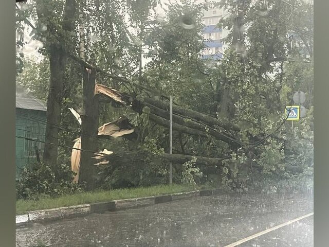    Фото: телеграм-канал "Москва 24"