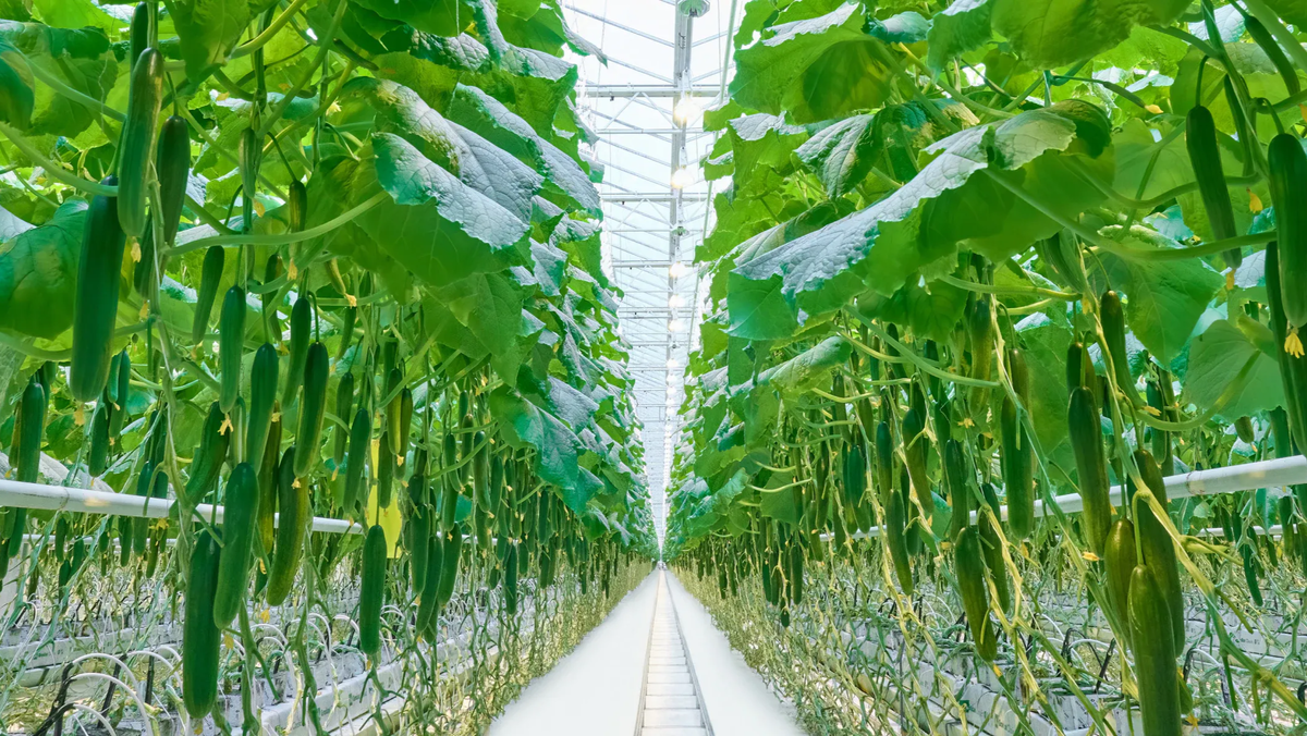 Листайте вправо, чтобы увидеть больше →