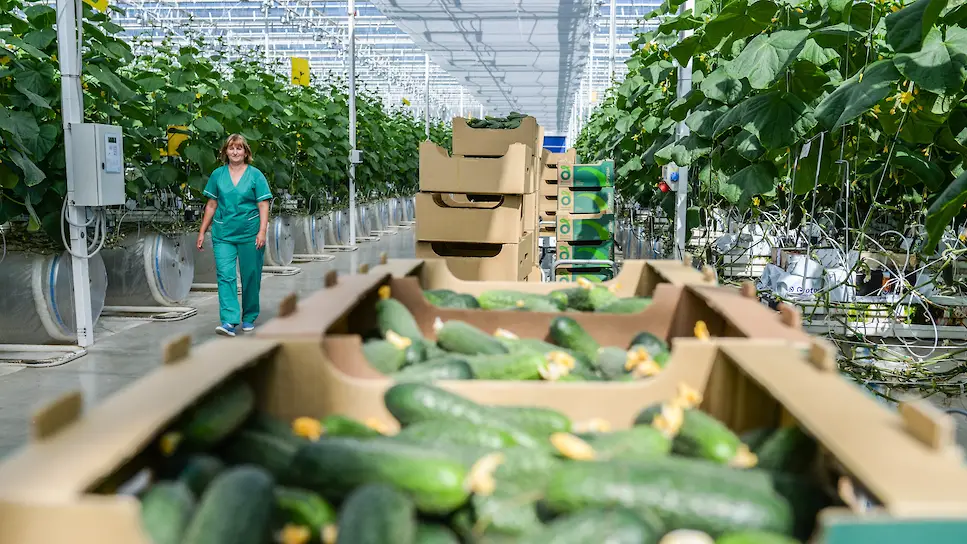 Листайте вправо, чтобы увидеть больше →