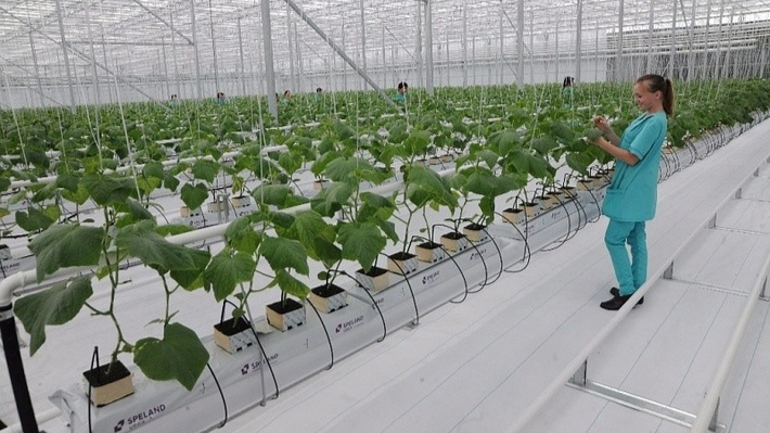 Листайте вправо, чтобы увидеть больше →