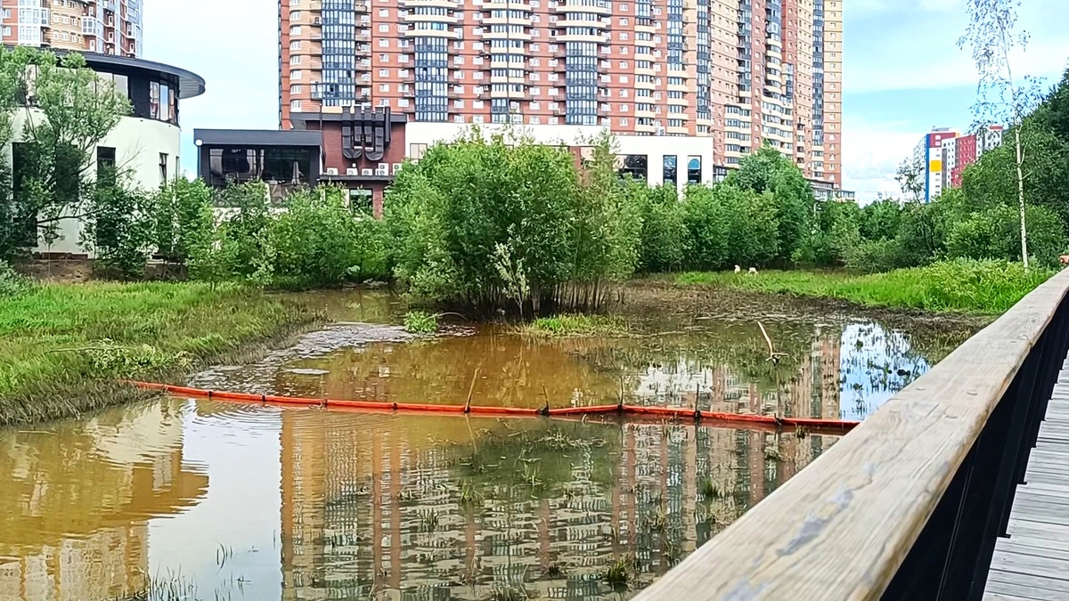    В Сургуте ликвидируют разлив нефти на Сайме