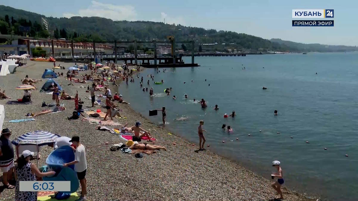   Видео канала «Кубань 24»