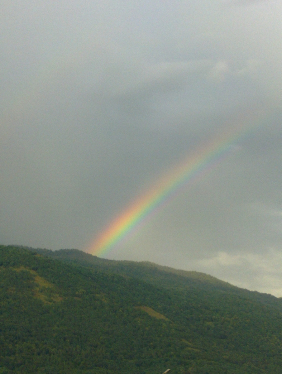 фото из архива автора