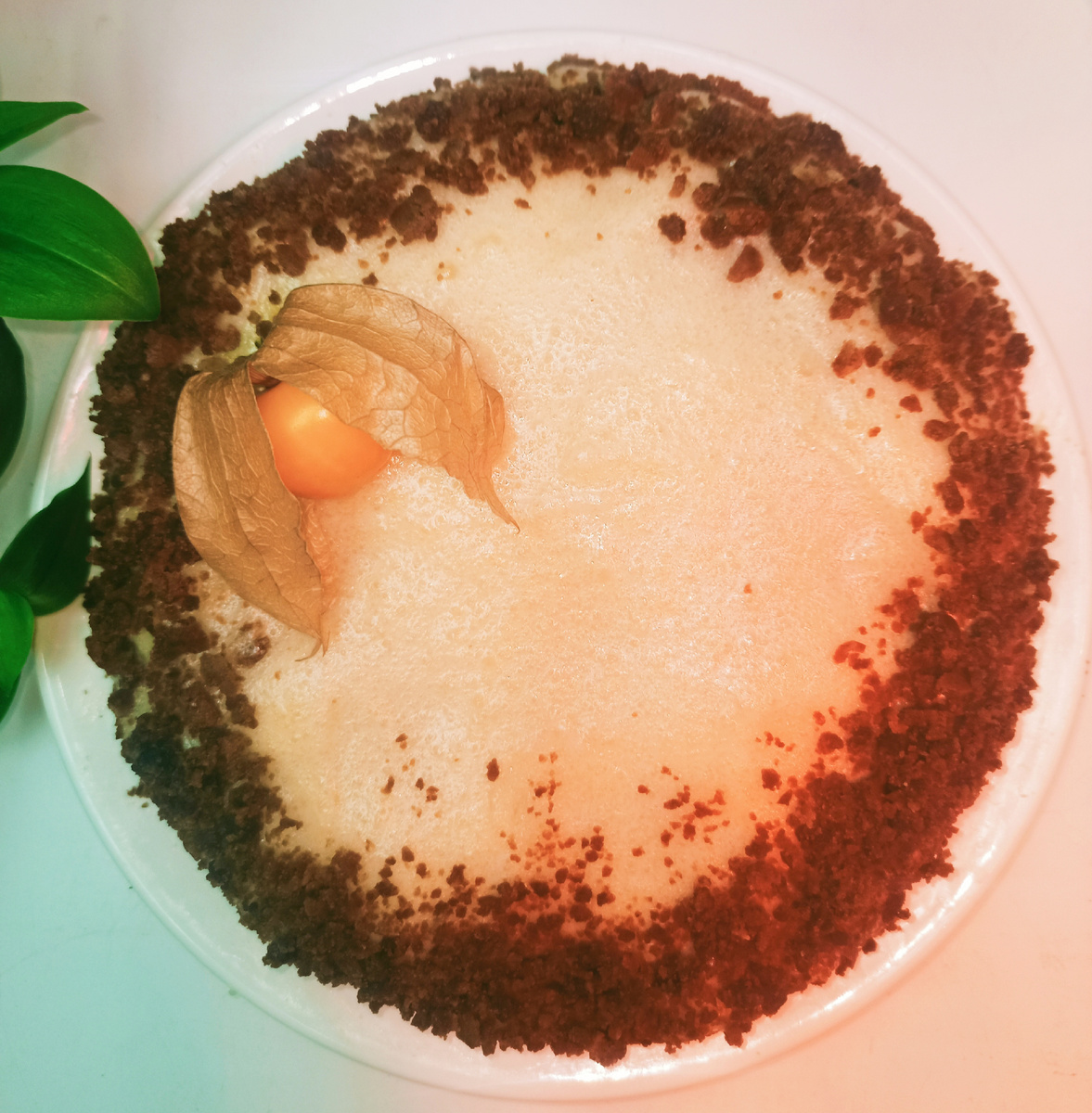 Цветовая передача получилась странная, лампа для растений всё испортила))