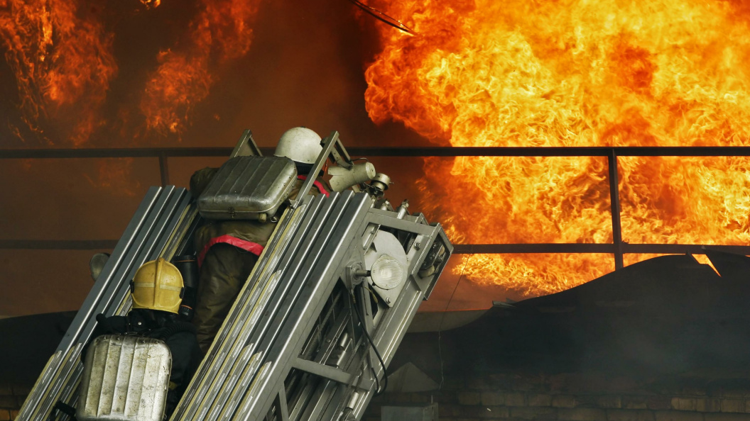    фото: Vasilii Smirnov/Russian Look/Globallookpress