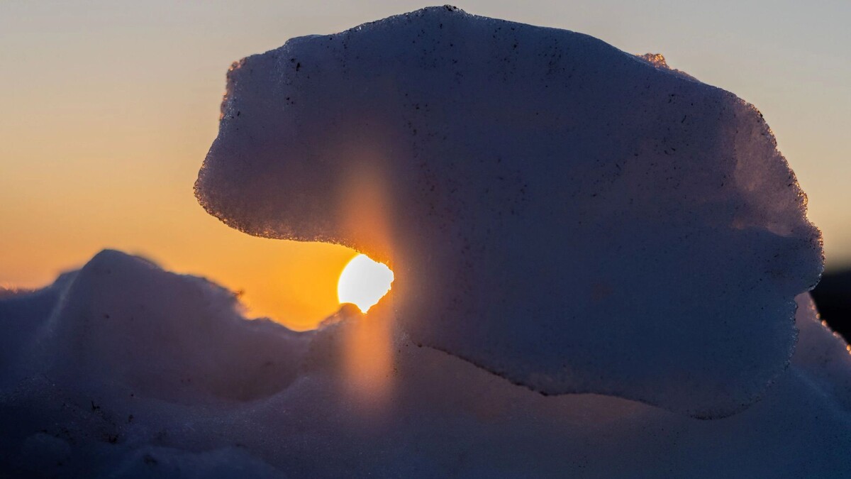    Фото: Федор Воронов / «Ямал-Медиа»