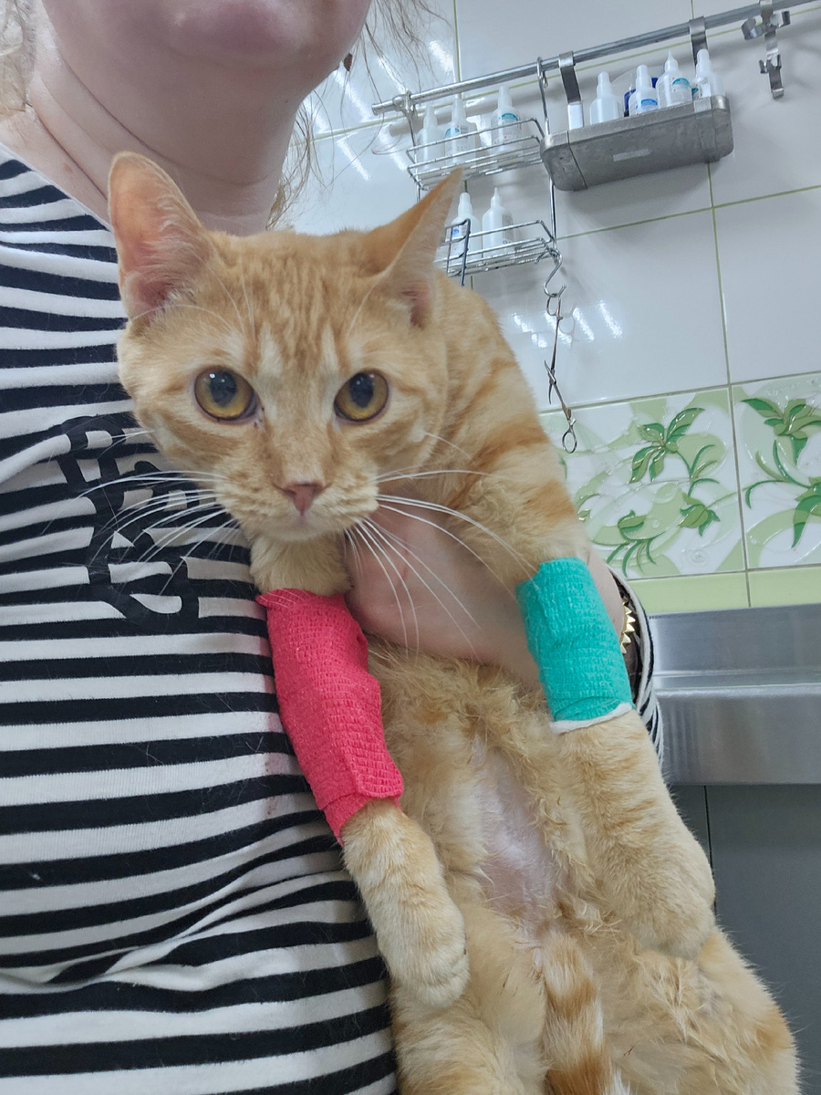 Фото автора. Ясик.