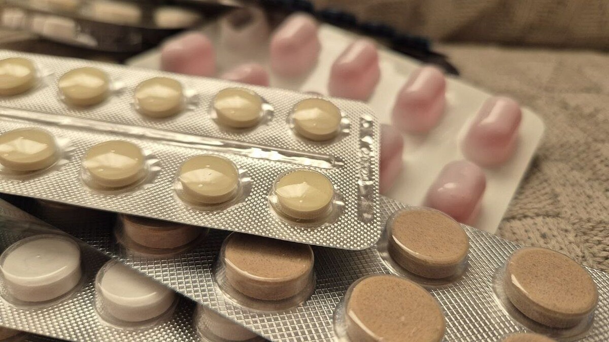    Фото: телеканал «Краснодар»