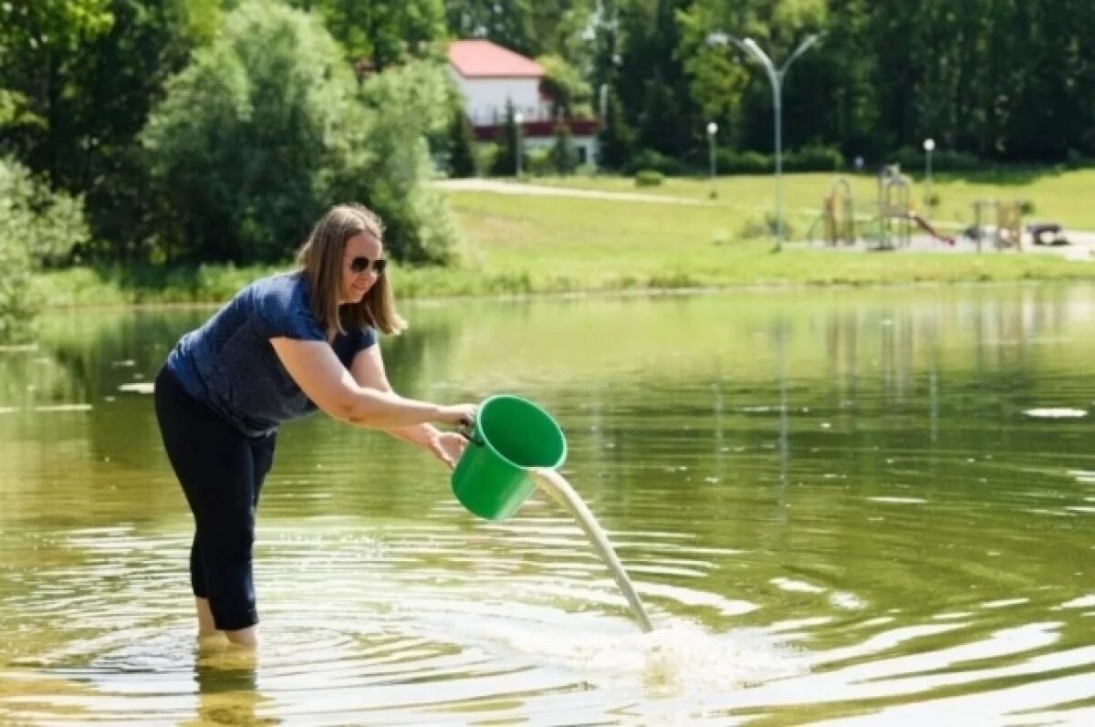    В Заречной под Пензой начался 2-ой этап очистки пруда в зоне отдыха Лесная