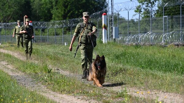    © Sputnik / Виктор Толочко