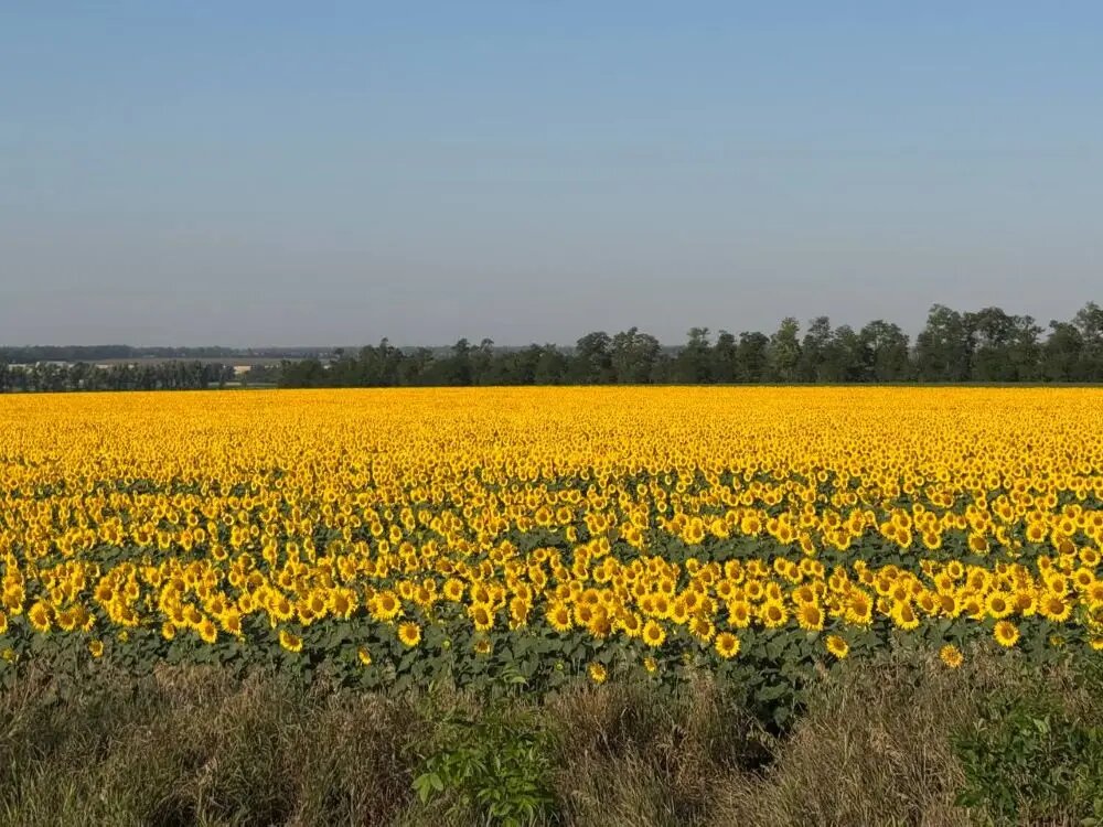    © "Интерфакс". Мария Исаак